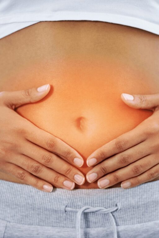 gut microbiota