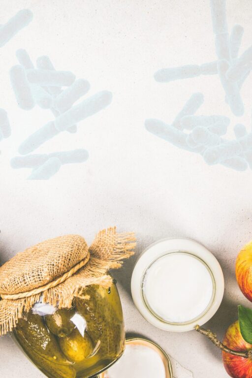 prebiotics for gut health
