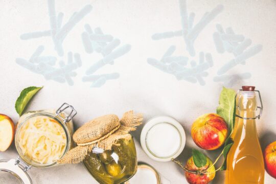 prebiotics for gut health